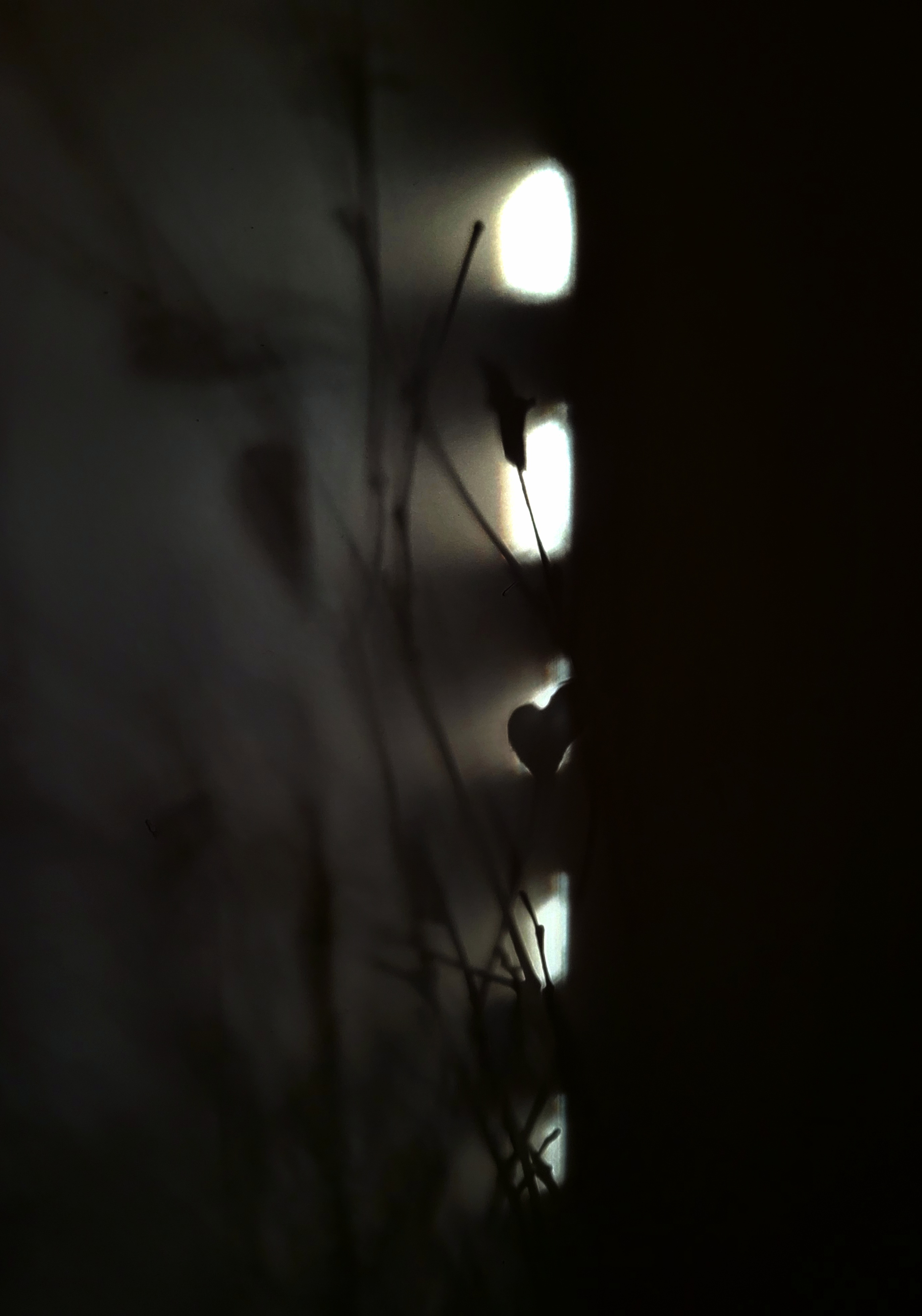 They Say “The Darkest Hour is Right Before The Dawn” (a fable)