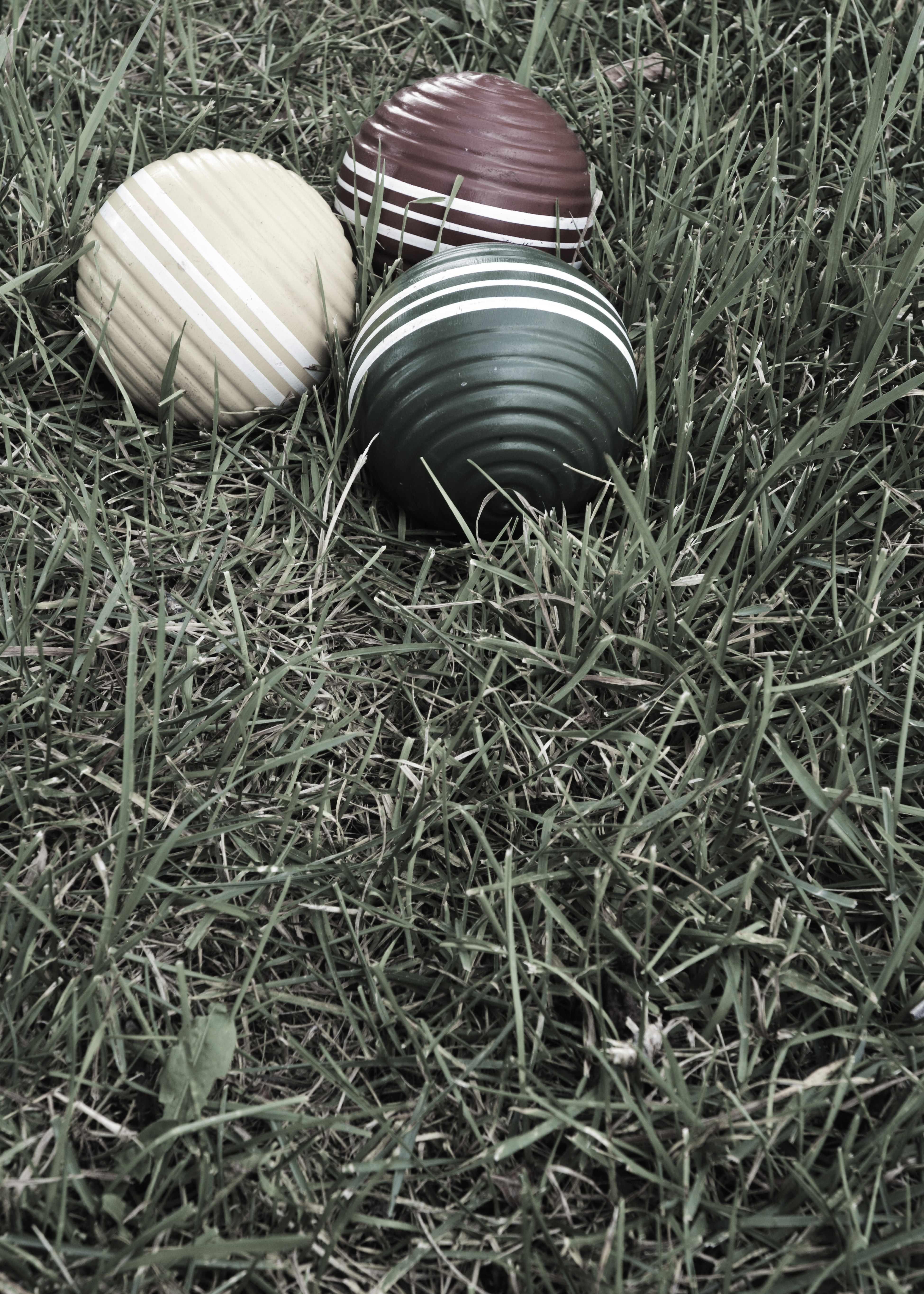 The Hole in the Fence